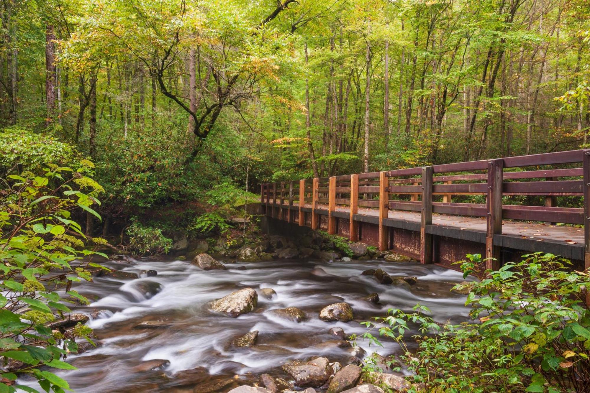 Mountain Eden, Hot Tub, Resort Pool, Wifi, 1089 Free Tickets Each Paid Day, Dollywood And More Gatlinburg Exteriör bild